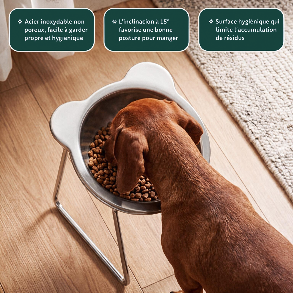 Trois avantages de la gamelle orthopédique Poilu & Cie pour chien