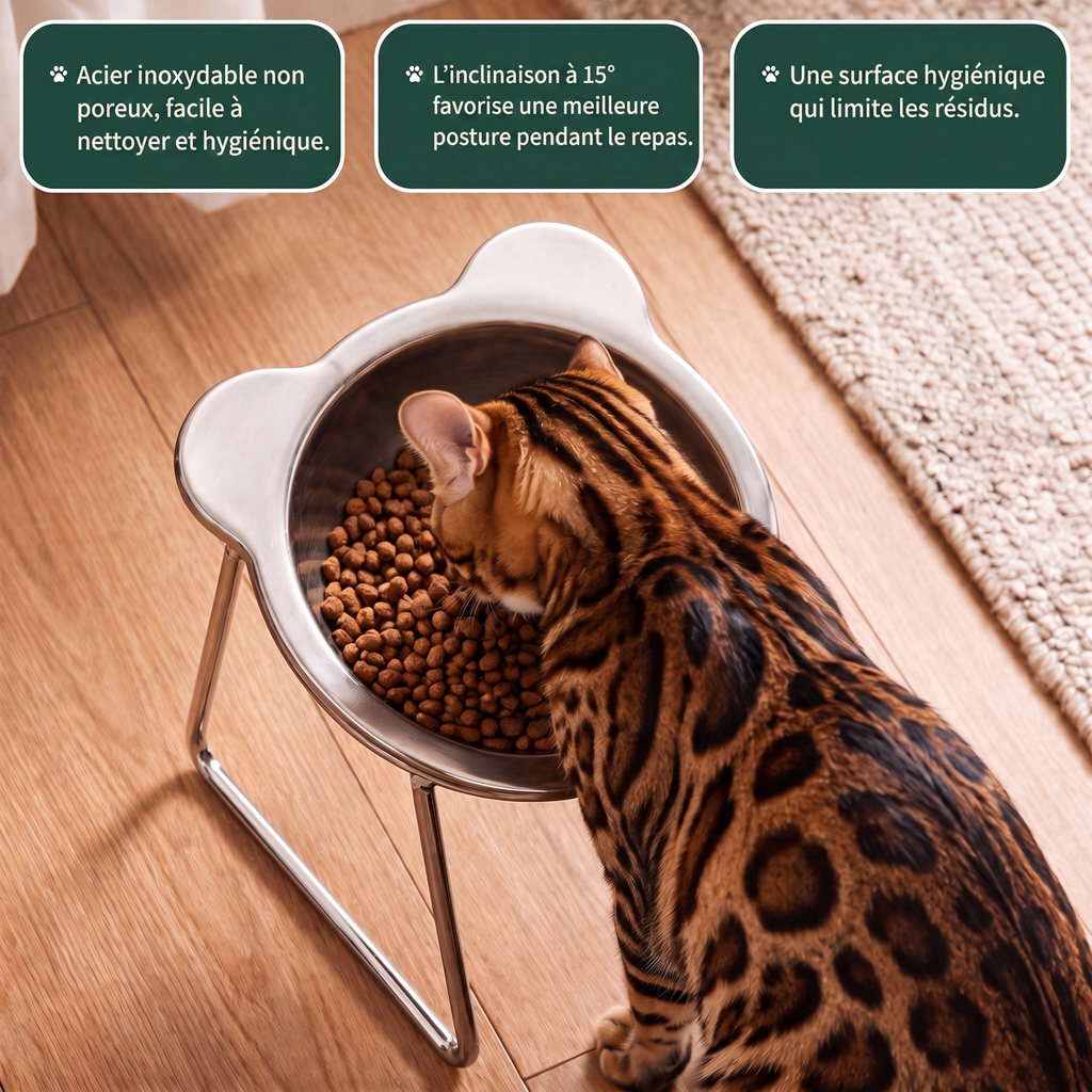 Chat Bengal mangeant dans la Gamelle Orthopédique Poilu & Cie™ avec trois avantages illustrés en français